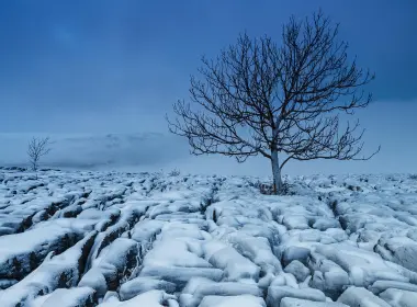自然 冬季 大自然 树 Snow Lonely Tree 岩石 Horizon 高清壁纸 2048x1366