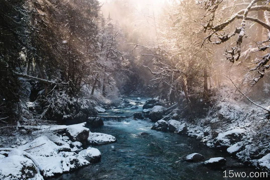 冬天,性质,自然景观,水道,树枝,壁纸,6527x4351