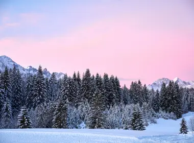 森林,德国,冬天,气氛,自然景观,壁纸,6582x4388 6582x4388