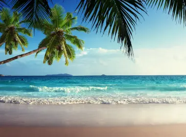 海滩 椰子 大海 3840x2160