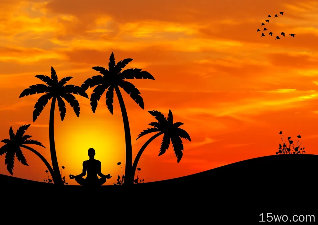 瑜伽、棕榈树、后视、冥想、日落、极简设计