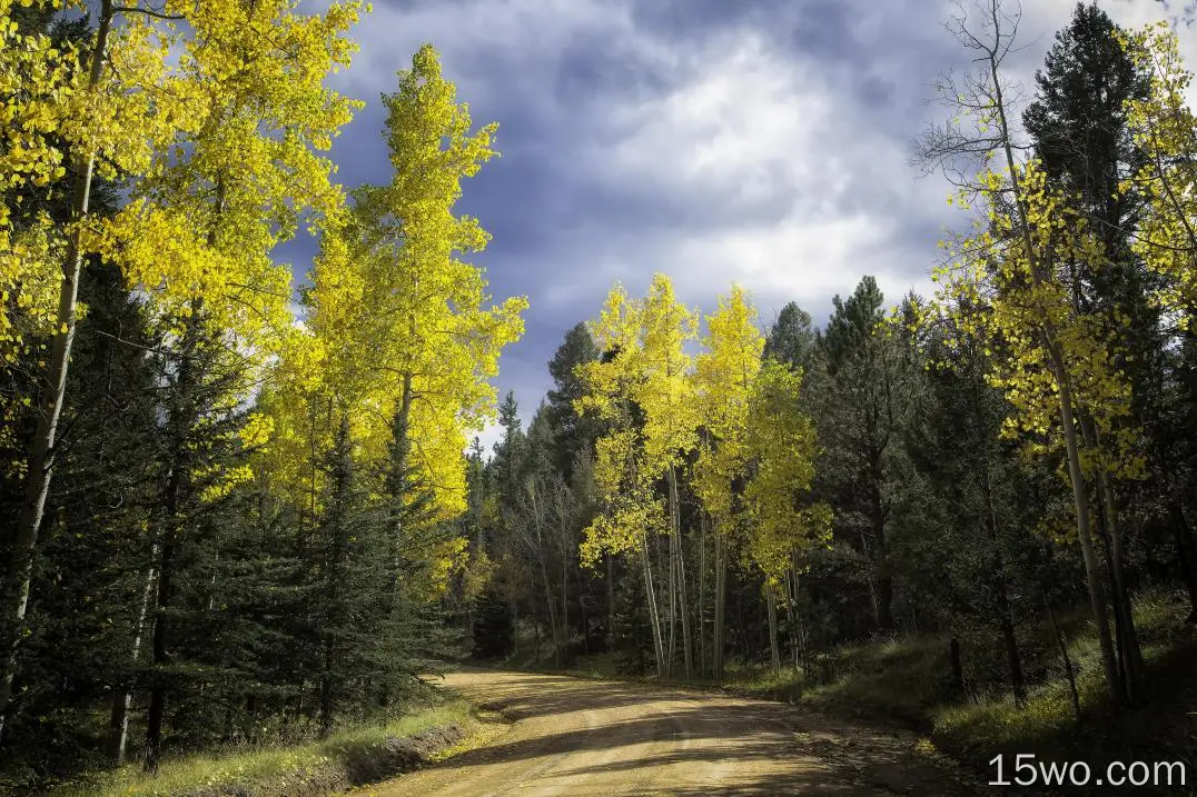 自然 秋季 Dirt Road Colorado 高清壁纸