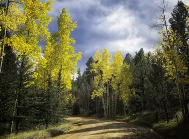 自然 秋季 Dirt Road Colorado 高清壁纸 3600x2400