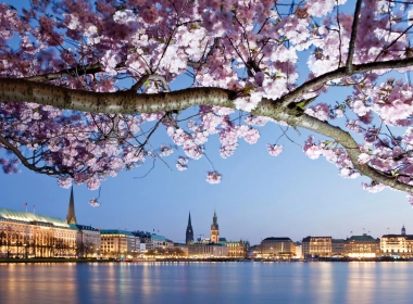 粉红色的花，开花，德国，汉堡，建筑，河流 2700x1800