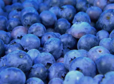 食物 蓝莓 浆果 Close-Up 水果 高清壁纸 3600x2700