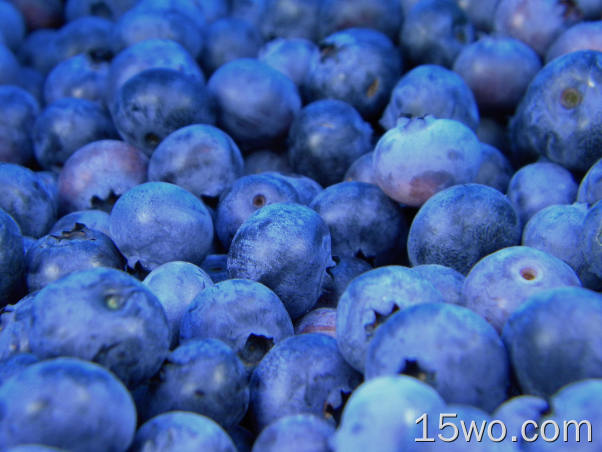 食物 蓝莓 浆果 Close-Up 水果 高清壁纸