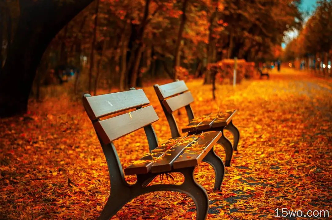 人造 长椅 公园 秋季 叶子 orange 高清壁纸
