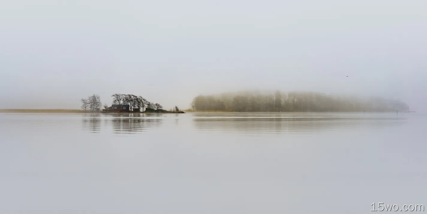 芬兰，赫尔辛基，孤独的房子，湖泊，雾，植物