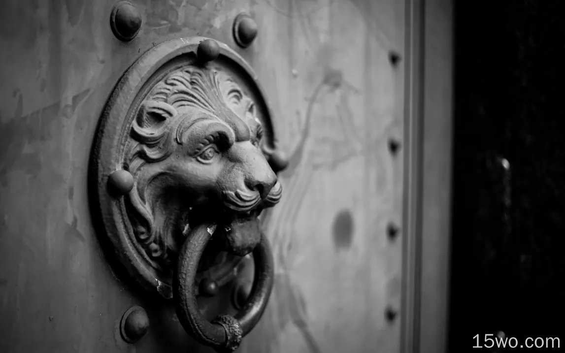 古代门上的狮头拉手摄影电脑壁纸