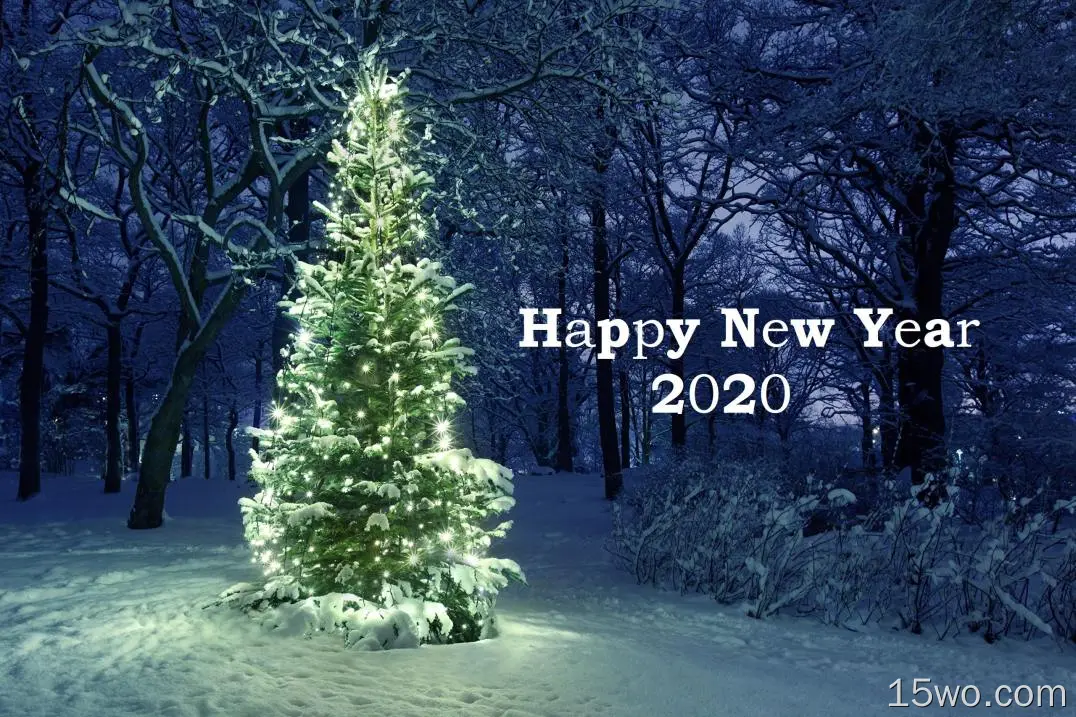 节日 New Year 2020 Happy New Year Christmas Tree 高清壁纸