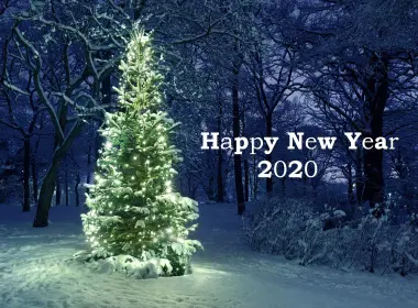 节日 New Year 2020 Happy New Year Christmas Tree 高清壁纸 2560x1706