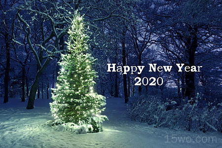 节日 New Year 2020 Happy New Year Christmas Tree 高清壁纸 2560x1706