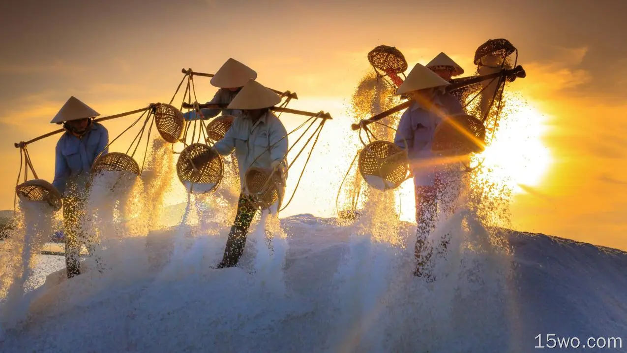 越南人民，日落，工作