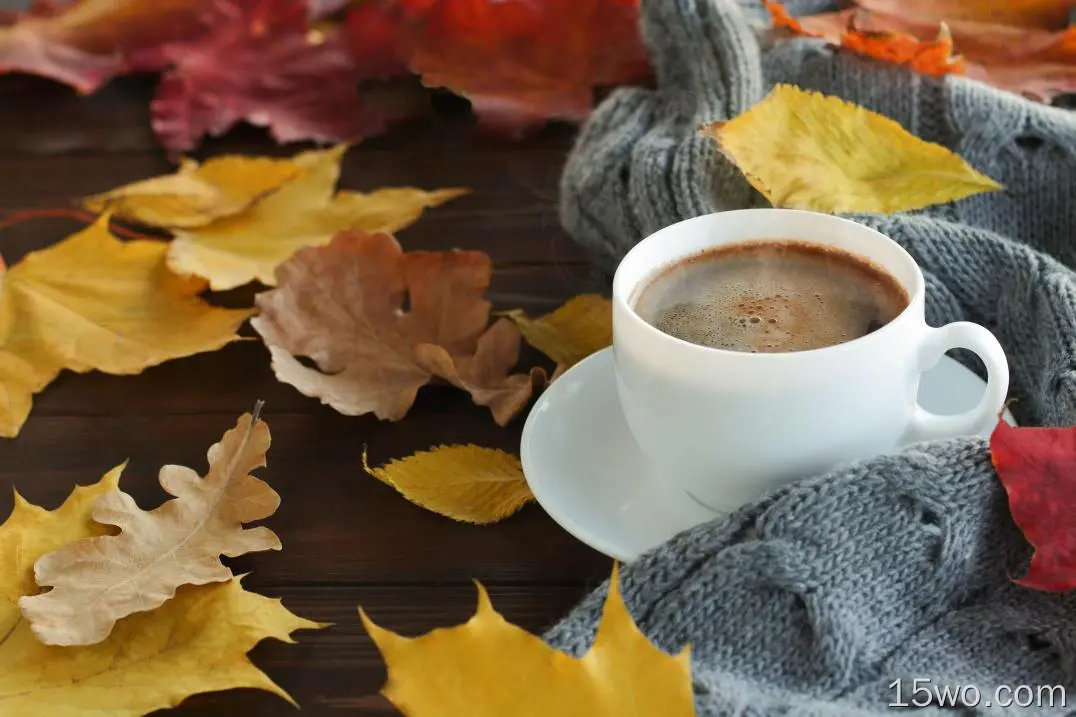 食物 咖啡 秋季 Mug 饮品 静物 高清壁纸