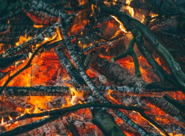 火、树林、余烬 2560x1707
