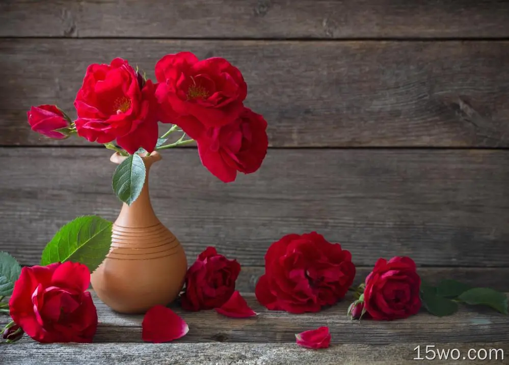 摄影 静物 Vase 玫瑰 花 Red Rose 高清壁纸