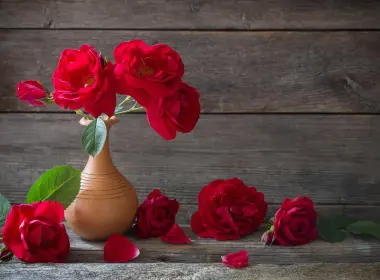 摄影 静物 Vase 玫瑰 花 Red Rose 高清壁纸 5011x3597