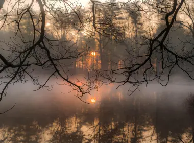 湖、雾、倒影、森林、树木、日落 2560x1709