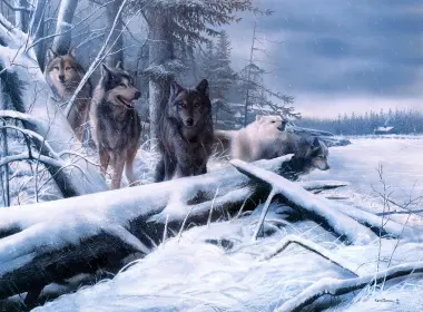 动物 狼 冬季 Snow predator Wildlife 艺术 高清壁纸 2718x2039