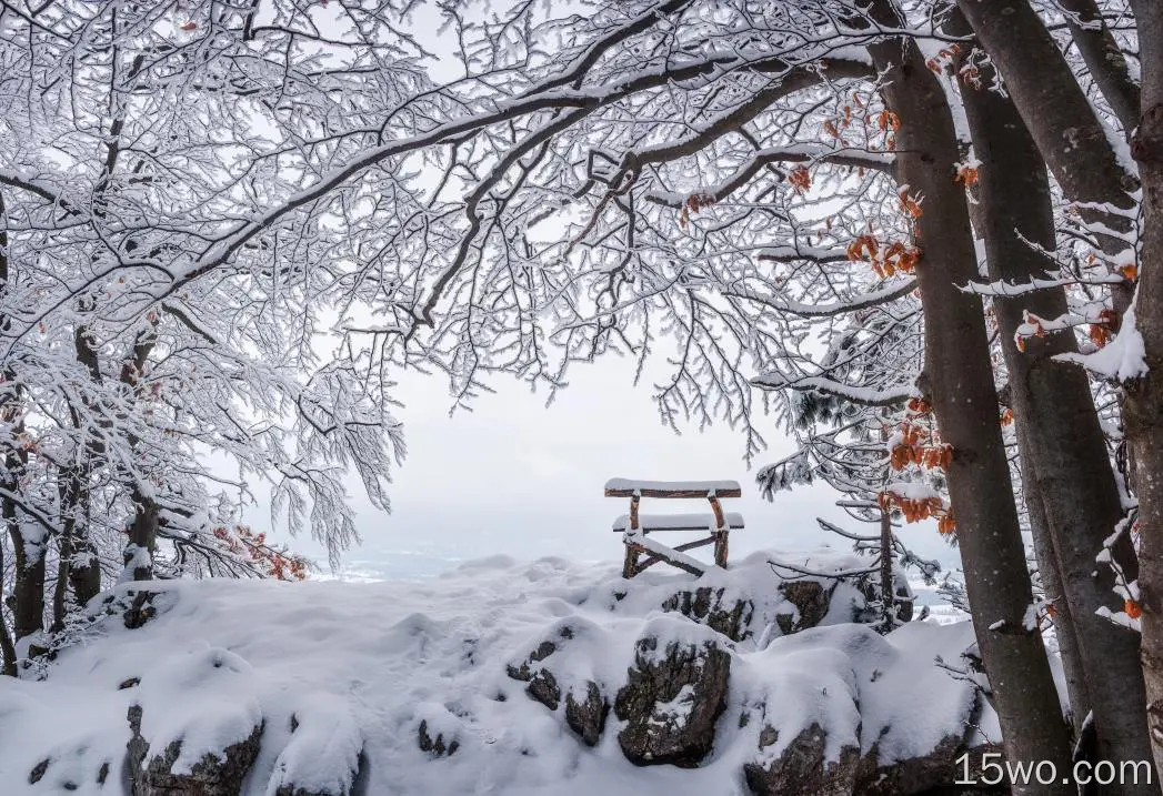 自然 冬季 长椅 Snow 高清壁纸