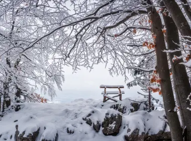 自然 冬季 长椅 Snow 高清壁纸 5000x3425