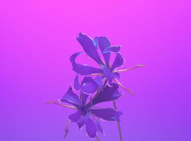 bd19苹果ios11 iphonex花卉艺术插图紫色 3840x2400