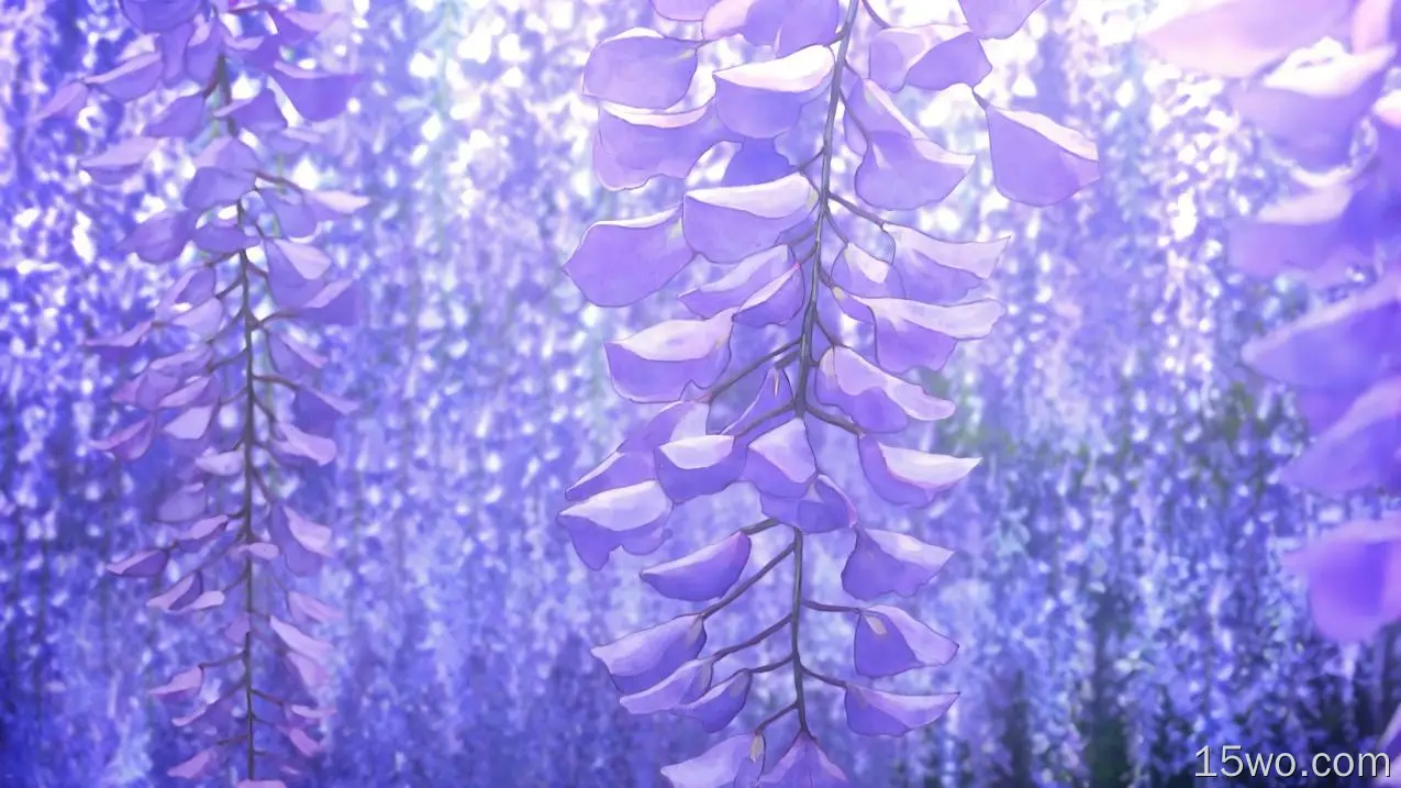 恶魔杀手kimetsu,no,Yaiba,紫色的,紫罗兰色,陆地上的植物,木本植物,壁纸,4098x2304