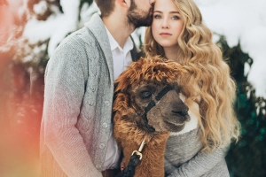 可爱的夫妇，照片拍摄，美洲驼，雪，金发女郎，冬天  3840x5760