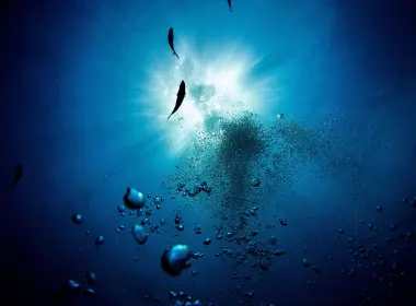 水 泡沫 鱼 水下 深度 4423x3376
