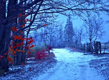 雪，风景，心情，树木，艺术品，冬天 4100x2396