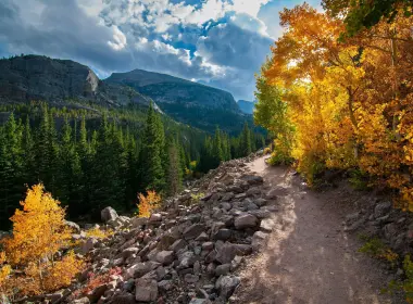 岩石小径、秋天、树木、森林、山脉、风景、徒步旅行 2573x1709