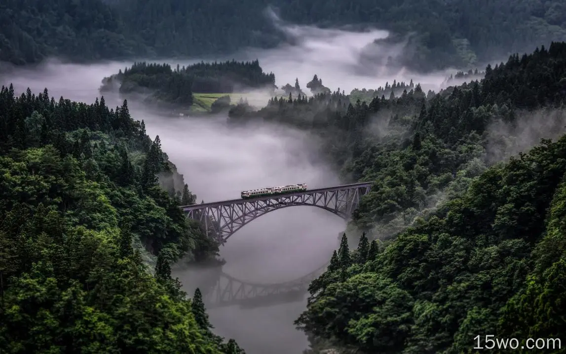 人造 桥 大自然 雾 倒影 风景 火车 森林 高清壁纸