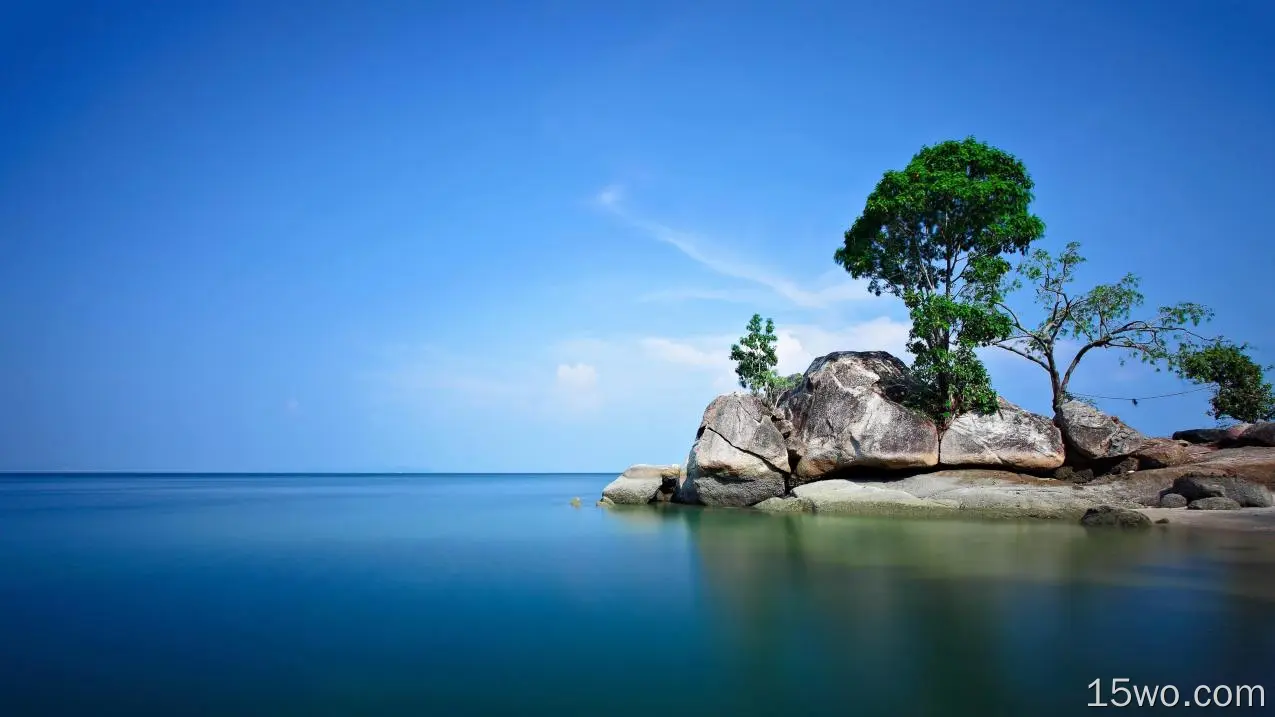 大海 岩石 树木