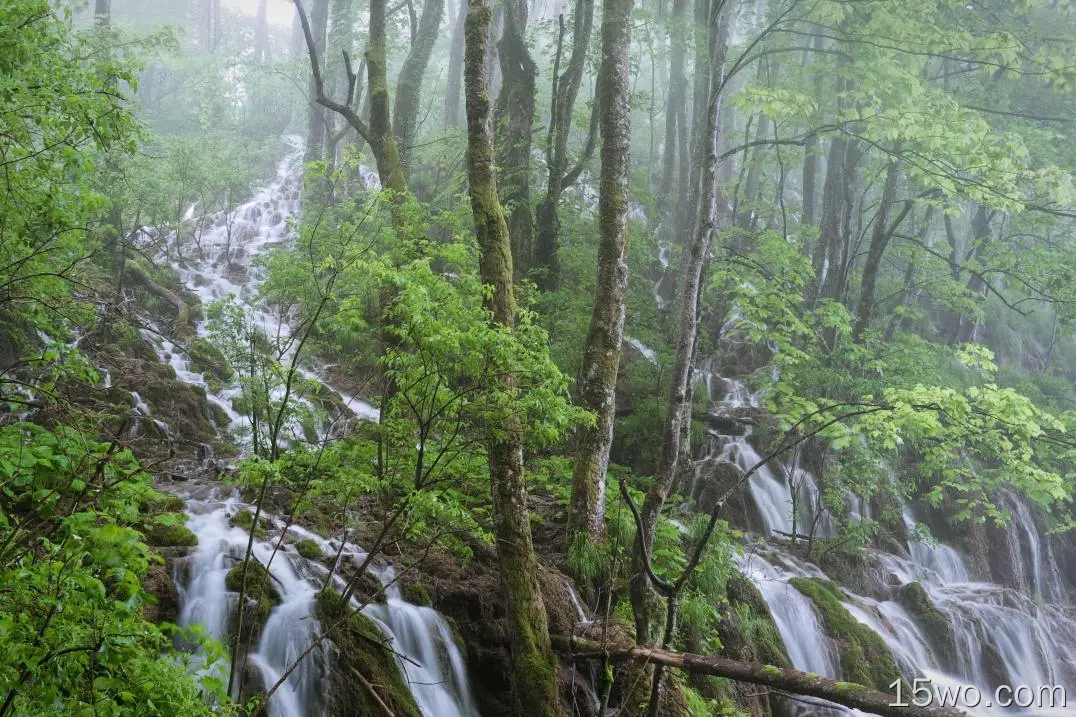 自然 瀑布 地球 森林 树 绿色 溪流 高清壁纸