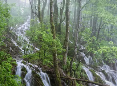 自然 瀑布 地球 森林 树 绿色 溪流 高清壁纸 3964x2642