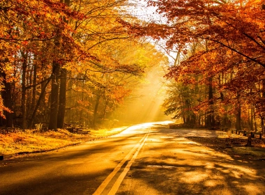 秋天，风景，秋天，道路，树叶，阳光 5184x2916