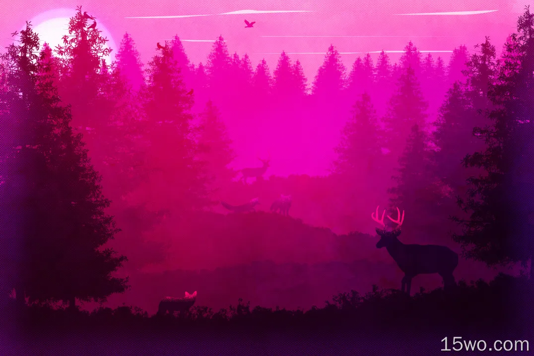 野生动物森林粉红色极简主义5k壁纸