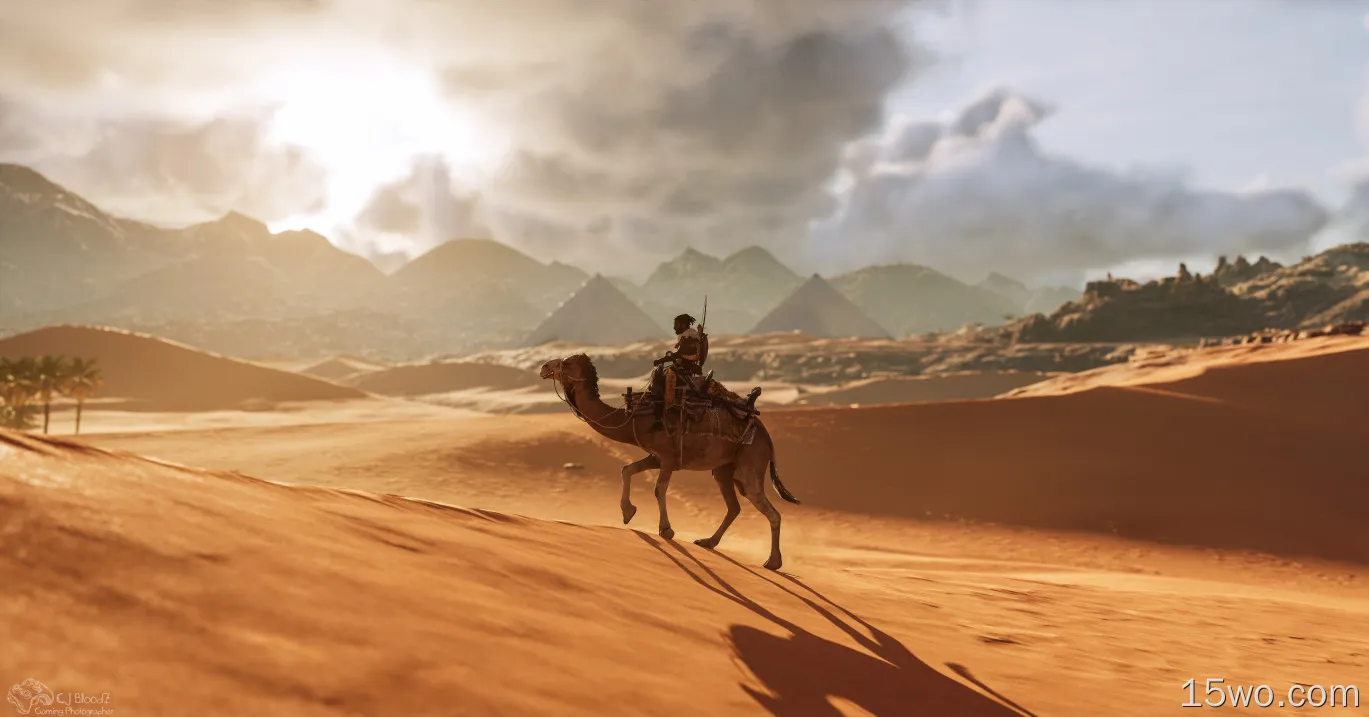 骆驼刺客信条起源8k壁纸