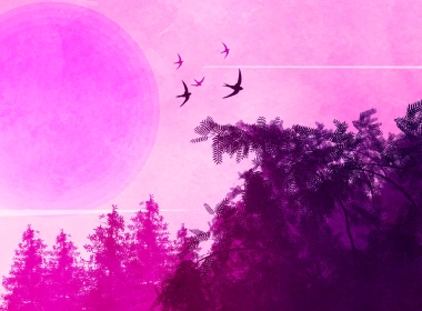 粉红色的鸟森林景观4 k壁纸 3578x2013
