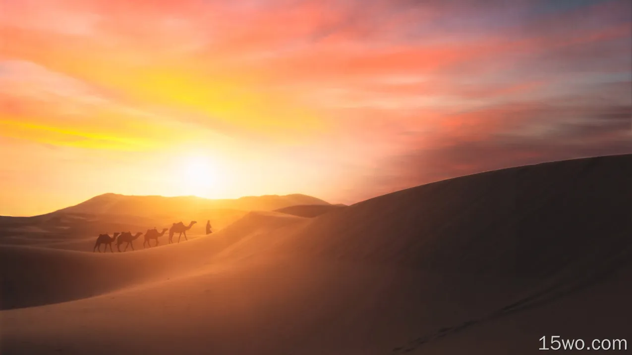 走在沙漠壁纸的骆驼