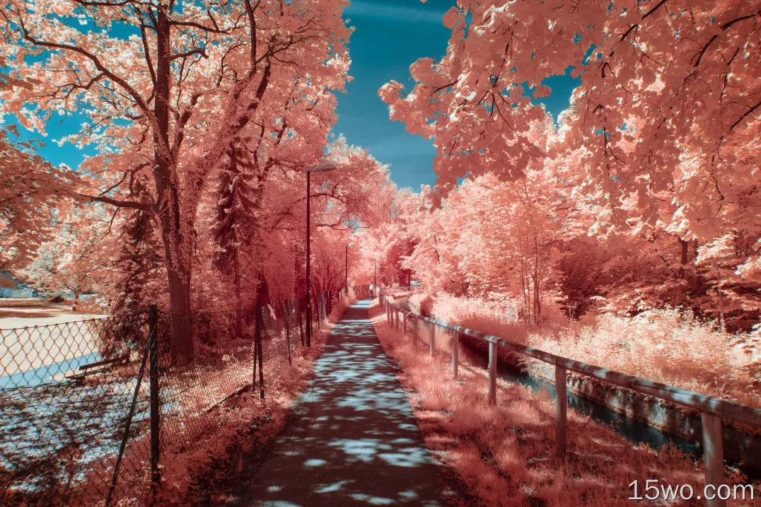 秋季摄影4k壁纸