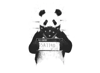 坏熊猫壁纸 3840x2160
