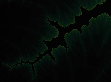 绿色植物黑暗Amoled壁纸 2580x1720