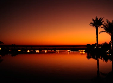 迪拜棕榈树日落反射壁纸 2560x1600
