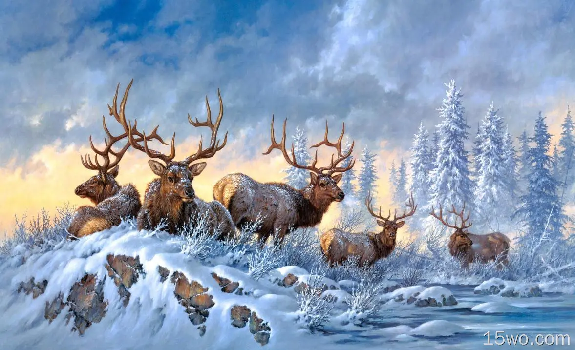 动物 鹿 冬季 Snow 大自然 绘画 Wildlife 高清壁纸