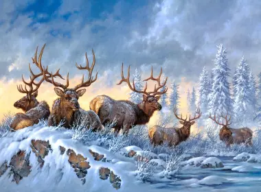 动物 鹿 冬季 Snow 大自然 绘画 Wildlife 高清壁纸 2846x1734