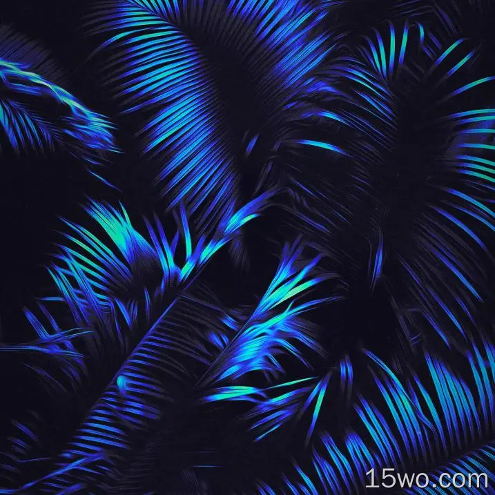 Azure,羽毛,陆地上的植物,电蓝色的,艺术,壁纸,2832x2832