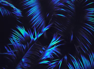Azure,羽毛,陆地上的植物,电蓝色的,艺术,壁纸,2832x2832 2832x2832