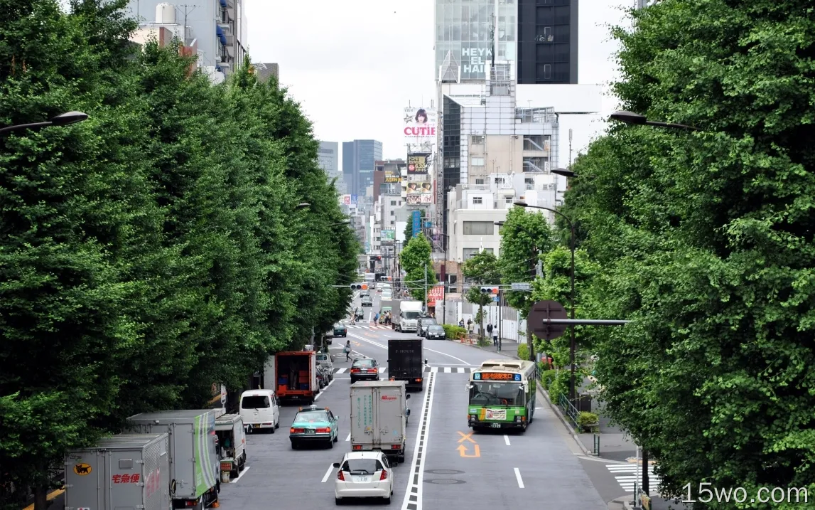 日本，东京，人，道路，树木，建筑物