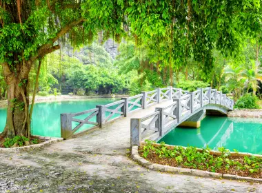 人造 桥 公园 热带 树 绿色 越南 高清壁纸 6000x4065